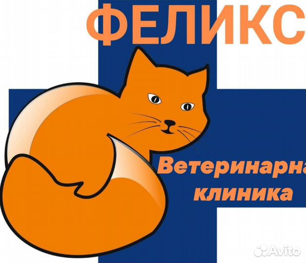 Работа ветеринарный врач