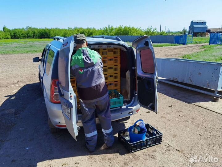 Подработка разнорабочим