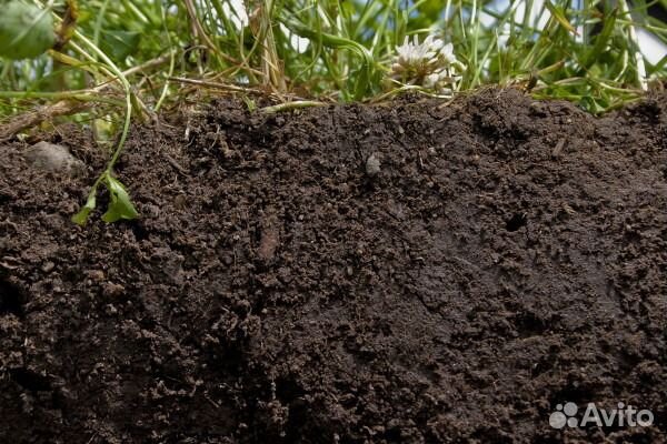 Земля для огорода торф,навоз