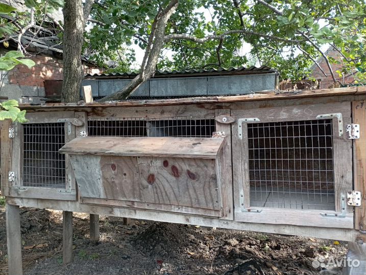 Клетки для разведения кроликов