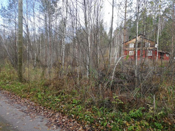Участок 13 сот. (СНТ, ДНП)