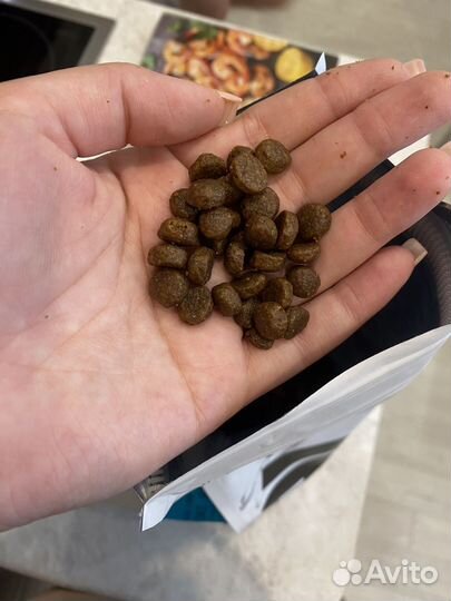 Корм для собак