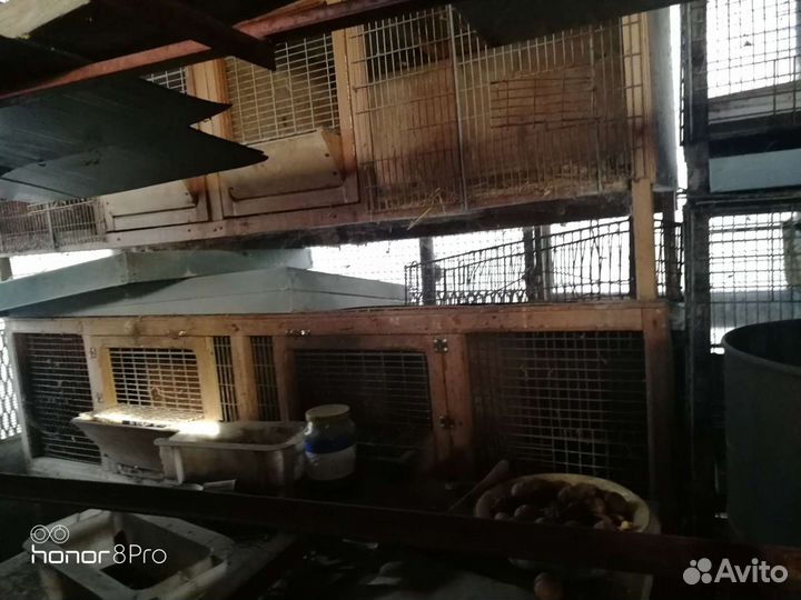 Клетки для кроликов и нутрий