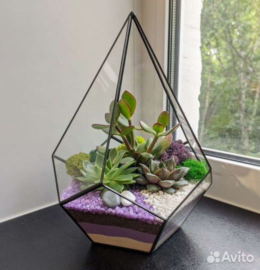Флорариум с суккулентами