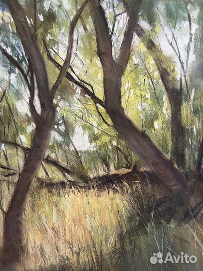 Пейзаж пастелью «В тени»