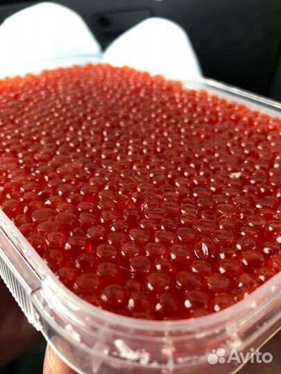 Красная икра 2023