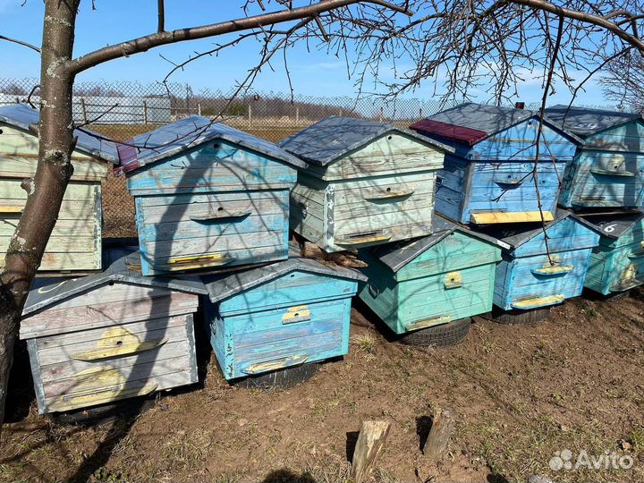 Улей для пчел 16 рамочные