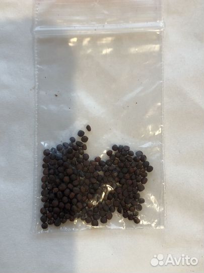 Семена декоративной капусты Осака Микс F1