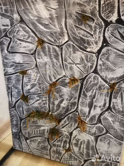 Террариум для рептилий