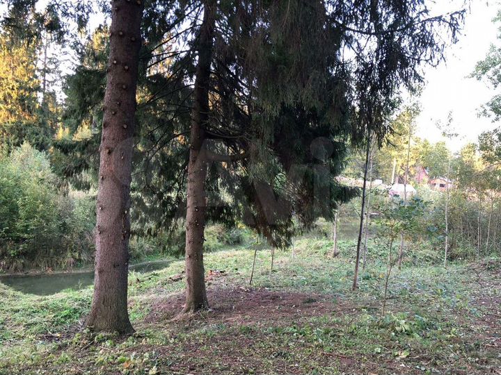 Участок 15 сот. (ИЖС)