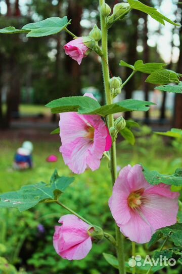 Фотосъемка