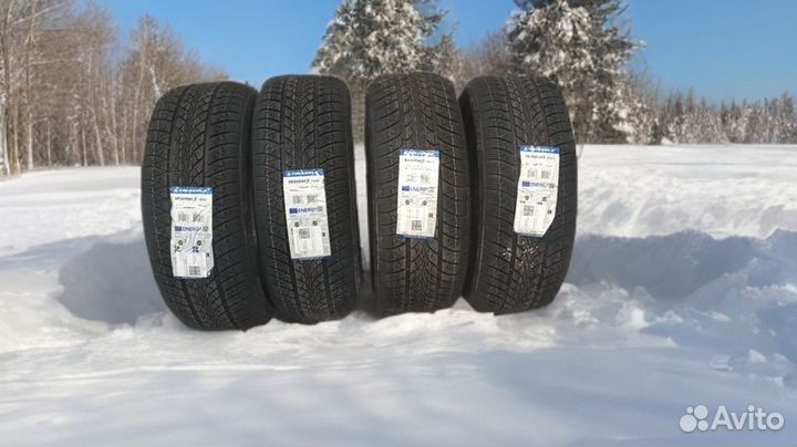 Triangle WinterX TW401 215/55 R16 97V