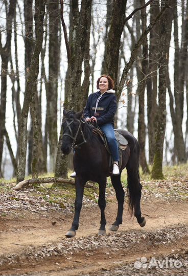 Конные прогулки