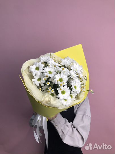 Ромашковая хризантема доставка