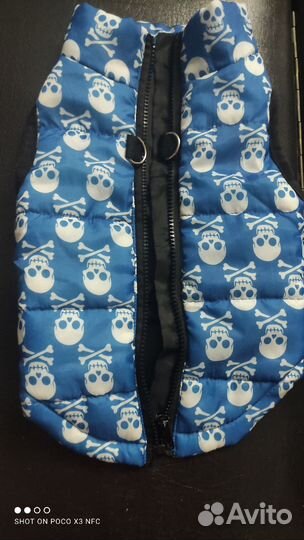 Дождевик для маленькой собаки