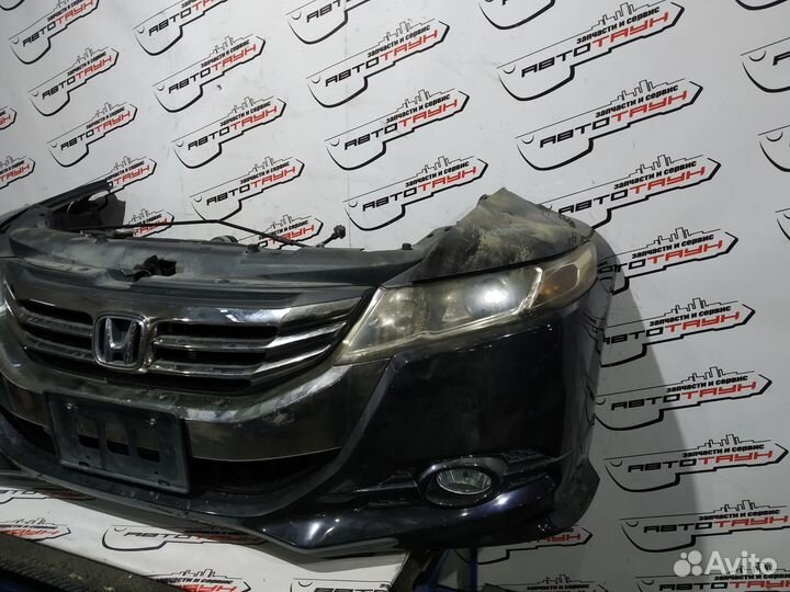 Nosecut honda odyssey RB3 RB4 2 модель absolute ae