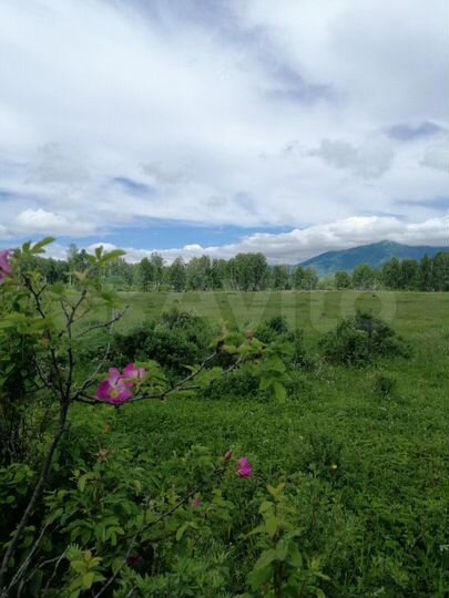 Участок 9,7 га (СНТ, ДНП)