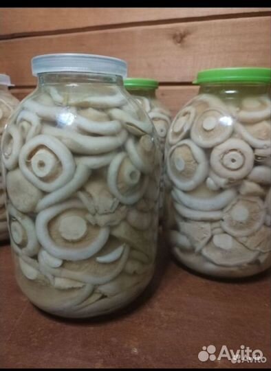 Грибы грузди соленые