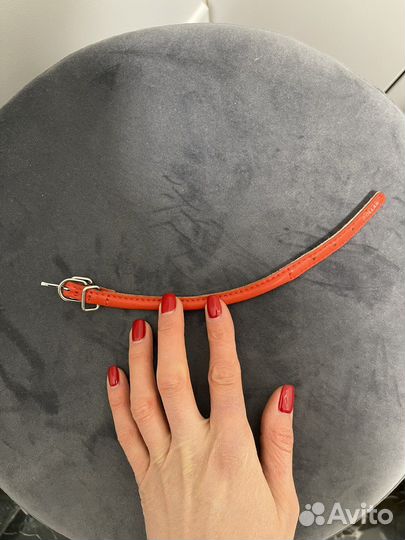 Ошейник Collar