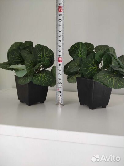 Искусственная шефлера в горшочке