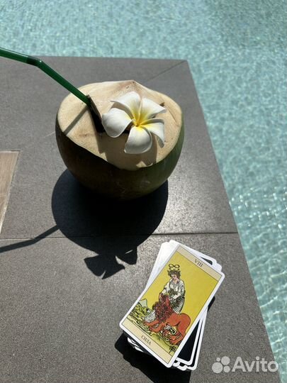 Собеседник, наставник, друг