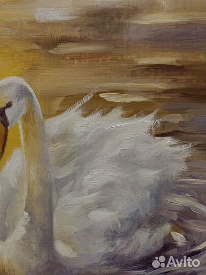 Картина маслом закат лебеди любовь пейзаж птицы