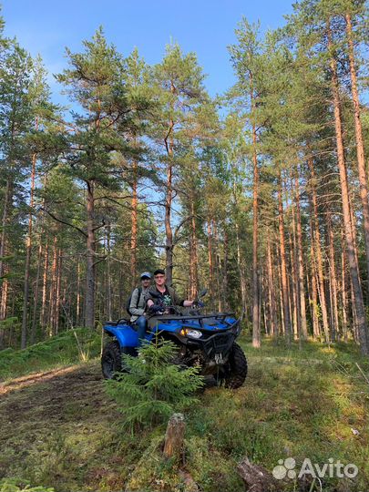 Организация свиданий