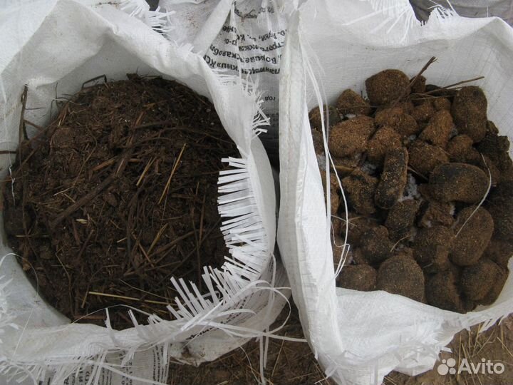 Конский навоз чистый без опилка из Клюшниково