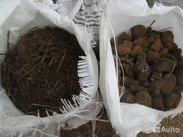 Конский навоз чистый без опилка из Клюшниково
