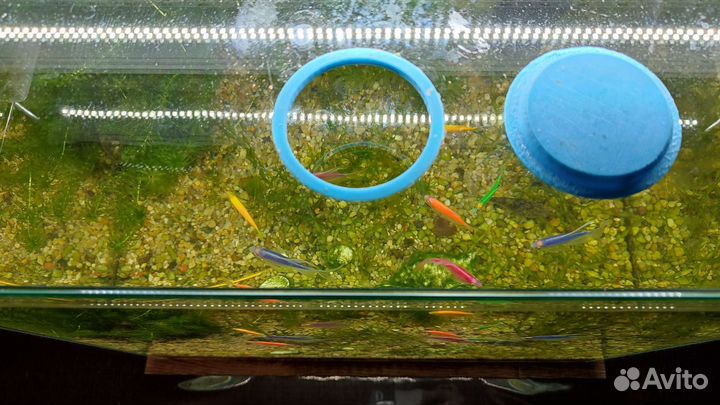 Аквариум 49л (45х30х36,5см)