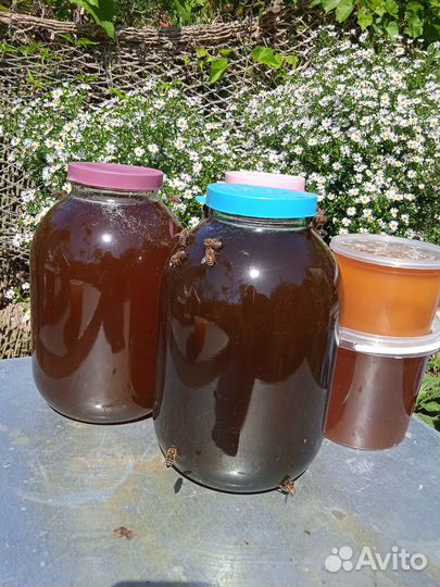 Мед горный натуральный