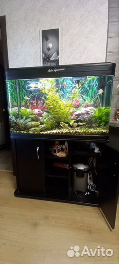 Sobo Aquarium