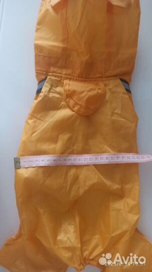 Дождевик для маленькой собаки