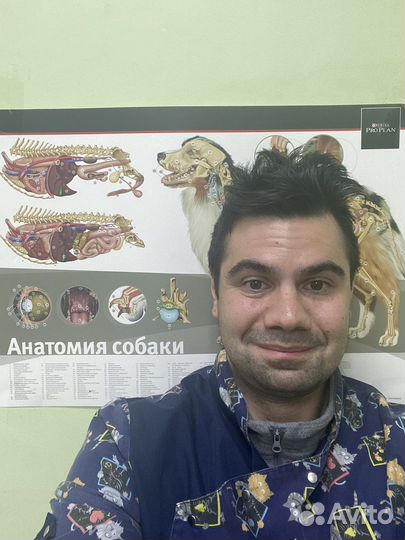 Ветеринарный врач на дом