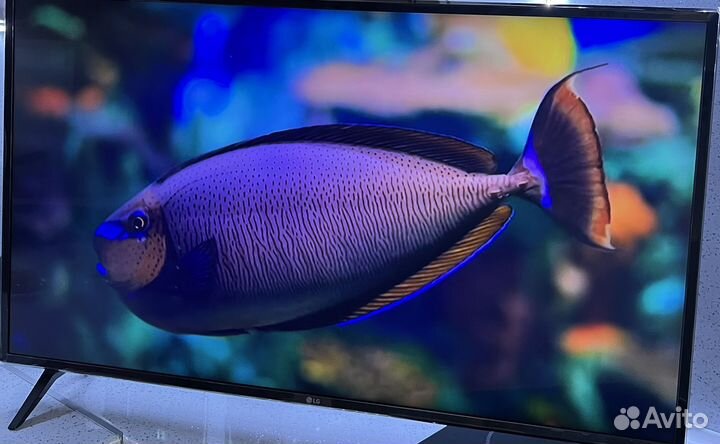 LED-Телевизор LG 43UK6300