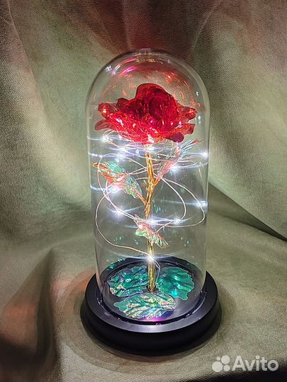 Роза в колбе