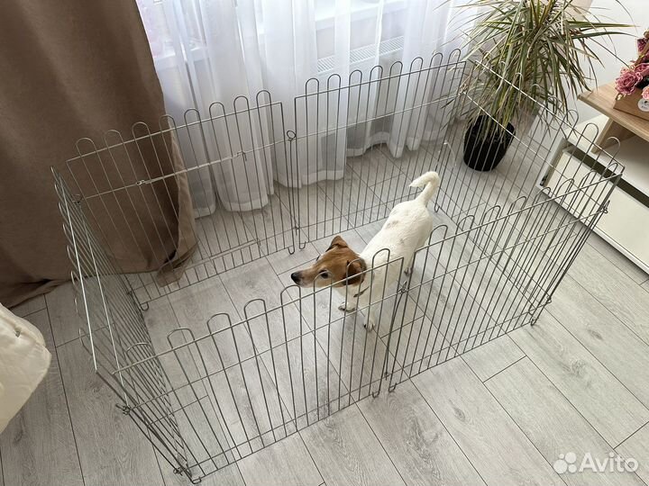 Вольер для щенков и собак