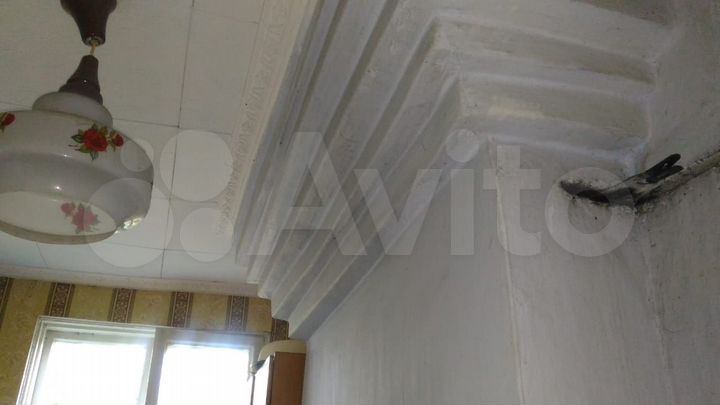 3-к. квартира, 48,7 м², 1/2 эт.