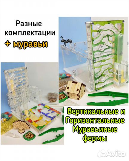 Муравьи Жнецы, Муравьиные фермы,есть Доставка