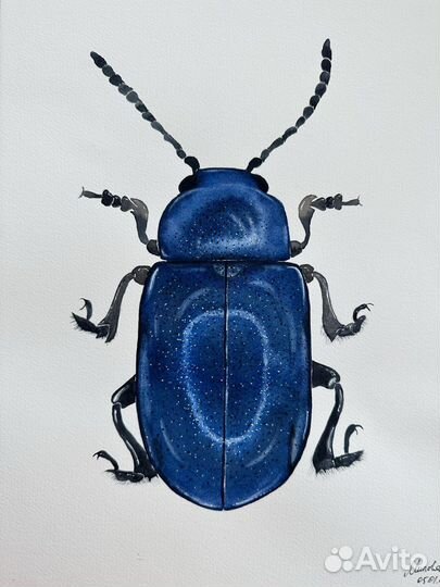 Картина «Жук»