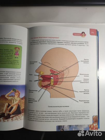 Энциклопедия для детей