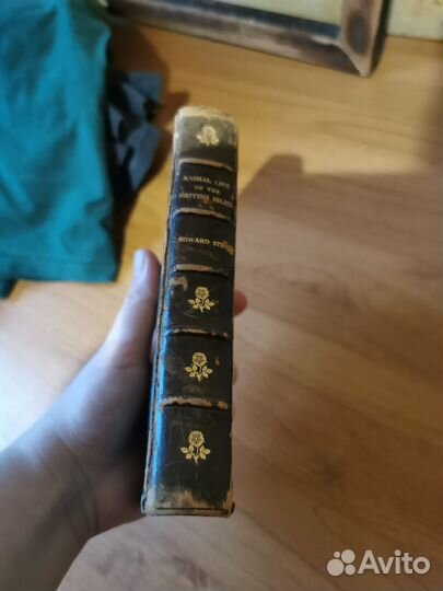 Step, Animal life of British isles