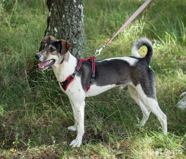 Майкл 8 месяцев мечтает о доме