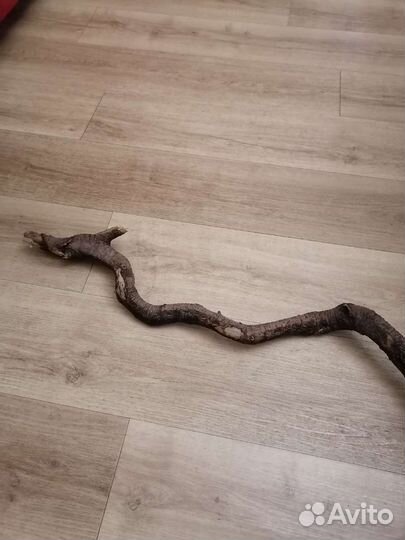 Коряга декоративная