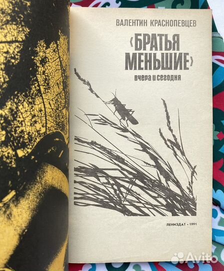 «Братья меньшие» вчера и сегодня / Краснопевцев