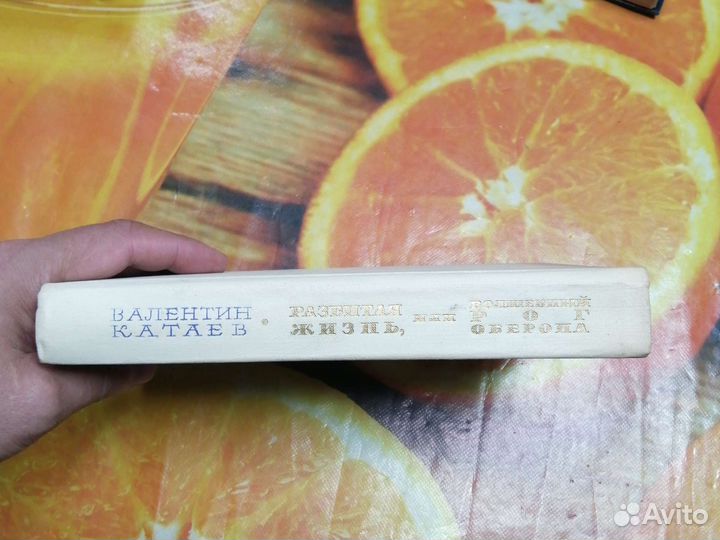 Валентин Катаев разбитая жизнь или волшебный рог