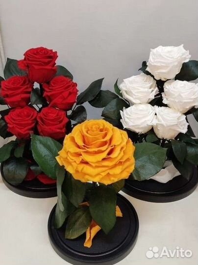 Подарок / Роза в колбе оптом