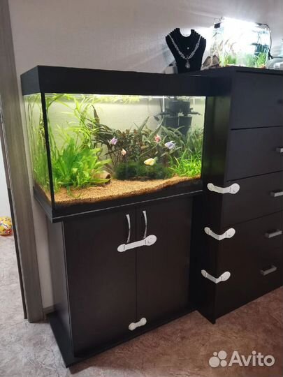 Аквариум с тумбой 110 литров
