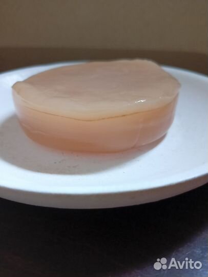 Чайный гриб