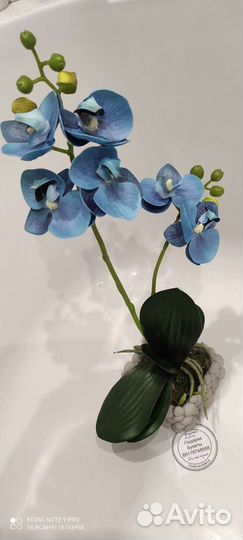 Орхидея искусственная реал тач